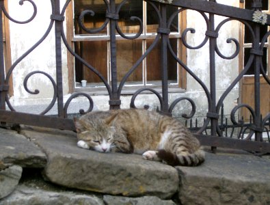 Kote, Church St.Nokola, V.Turnovo