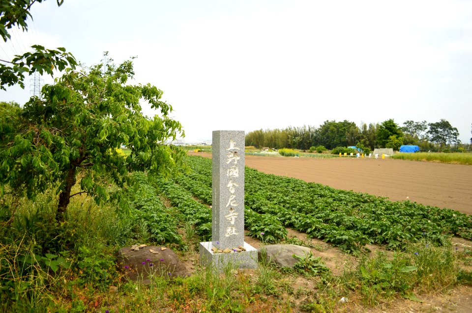 Kouzuke-kokubunniji sekihi