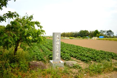 Kouzuke-kokubunniji sekihi