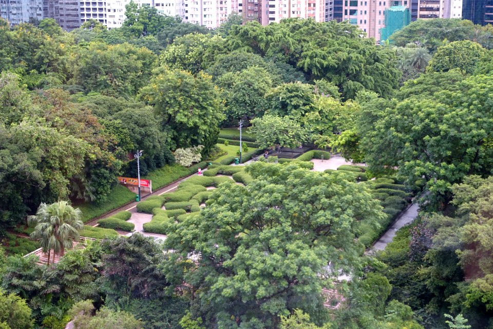 Kowloon Park, Tsim Sha Tsui, Kowloon, Hong Kong - DSC00655