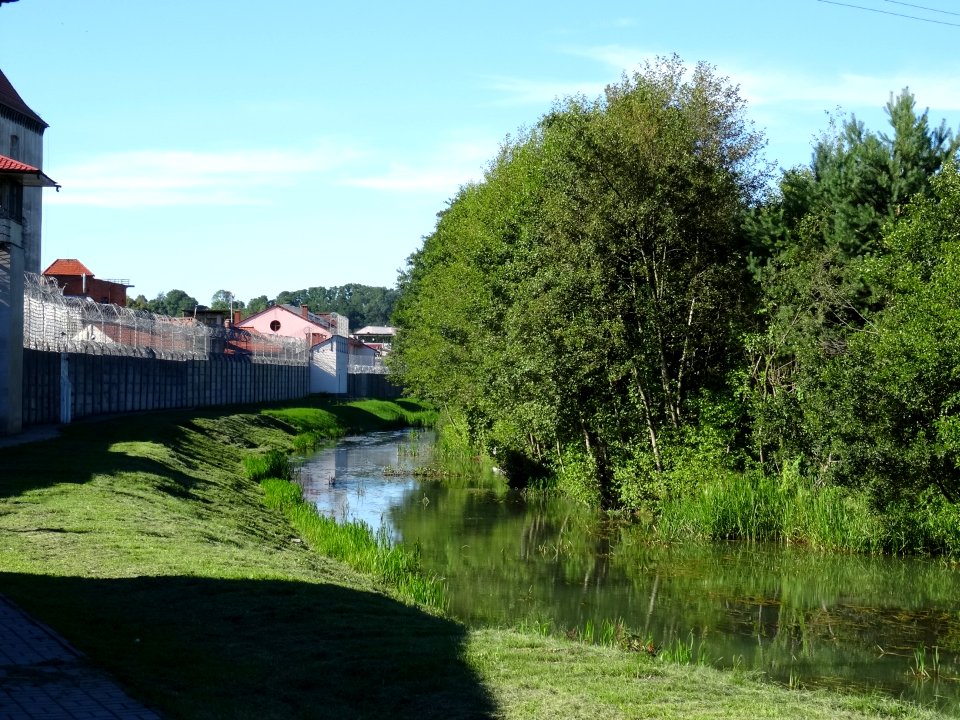 Koronowo Brda 1 7-2016