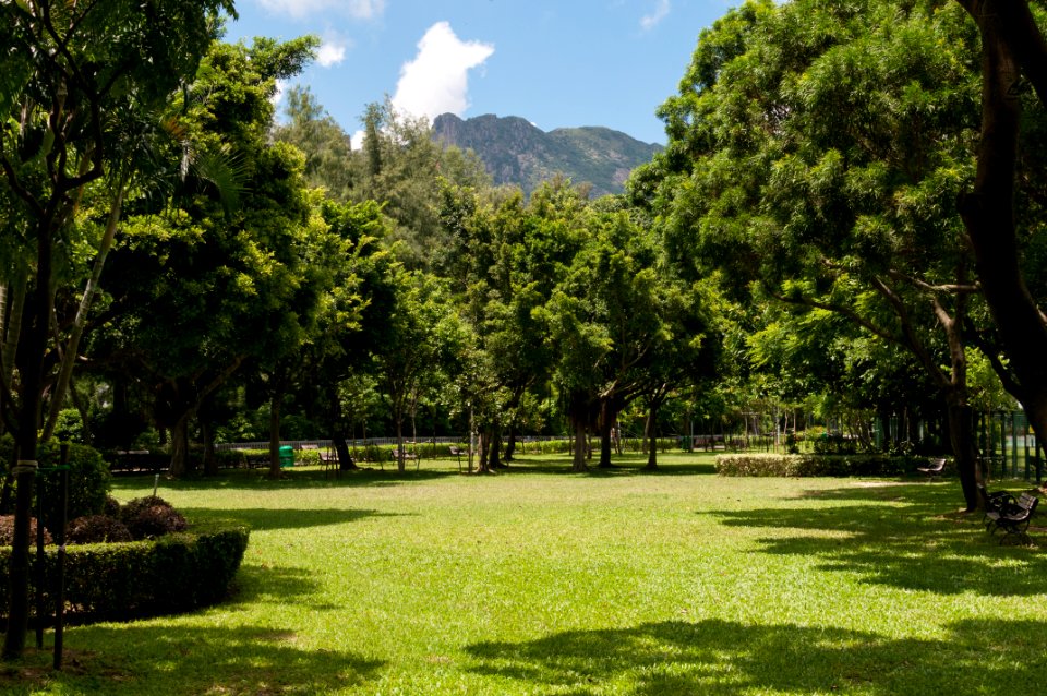 Kowloon Tsai Park in Hong Kong