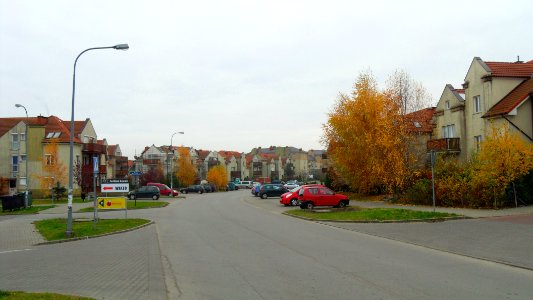 Kowale (powiat gdański) ulica Zeusa