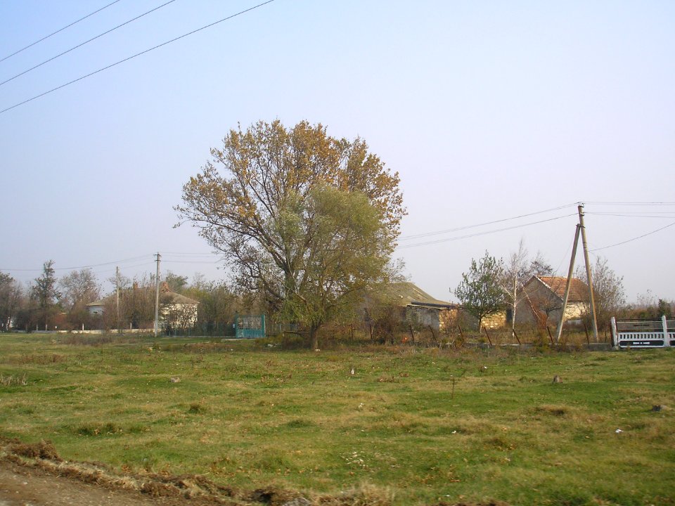 KovrovoNizn 5