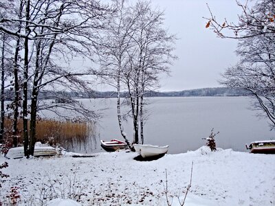 Boats ashore reed snowy