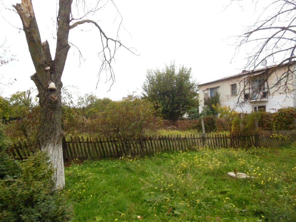 KrasnogvardeyskoeSov 5
