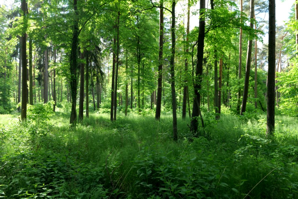 Kröchlendorff Gollmitz 2021-05-29 11
