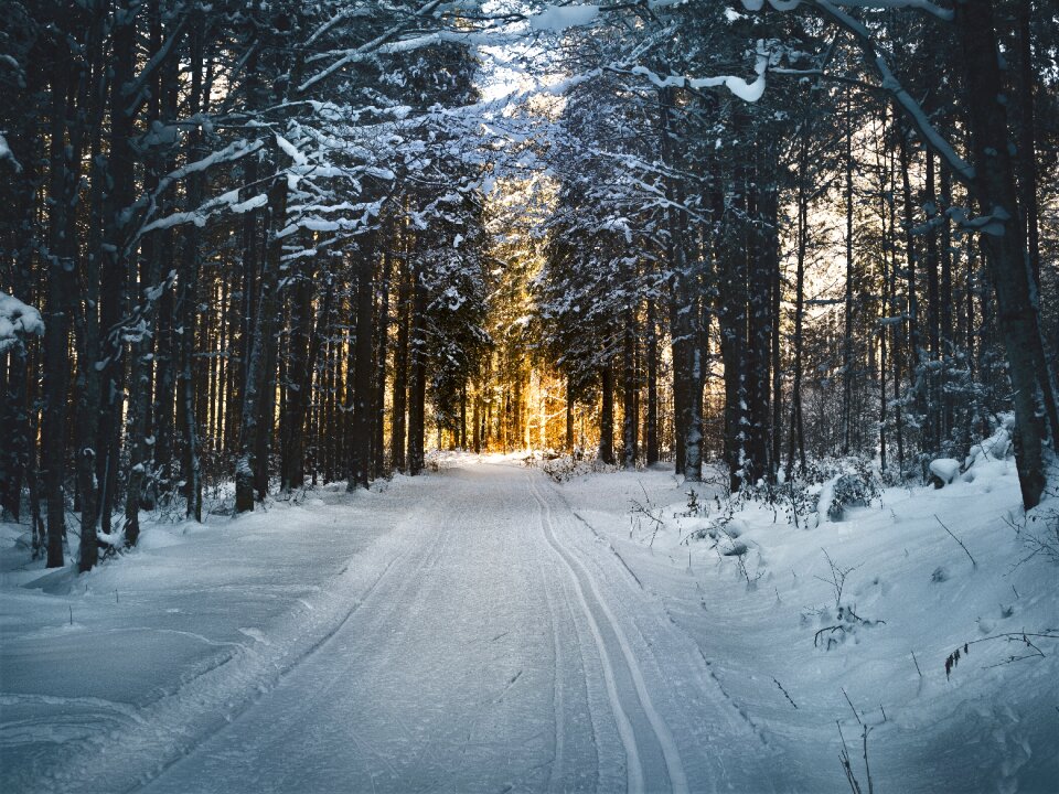 Snowy cross-country skiing trail winter
