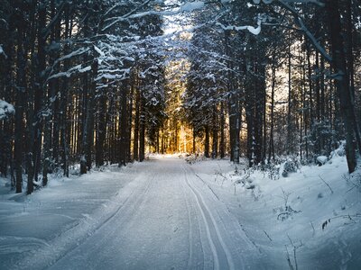 Snowy cross-country skiing trail winter photo