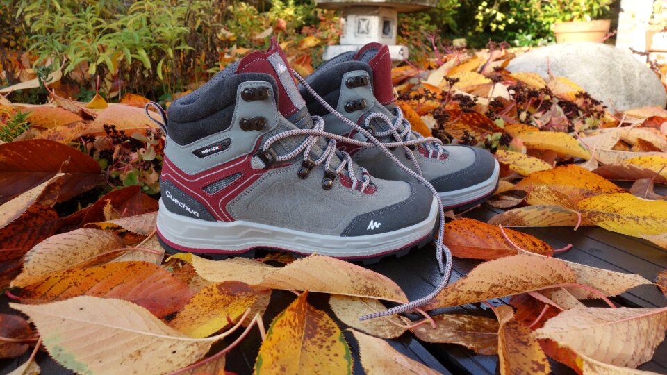 Season autumn leaves sportive