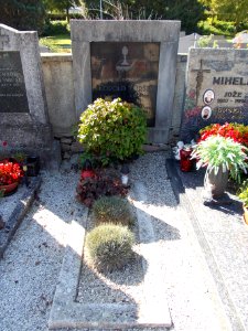 Krško Cemetery 16
