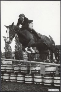 Koninklijk huis, prinsessen, paardensport, Irene, prinses, Bestanddeelnr 018-0667