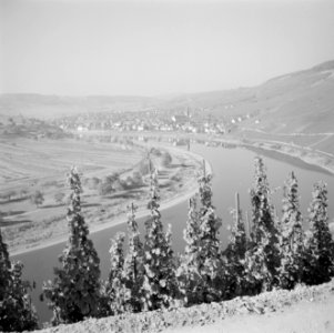 Kröv gezien vanuit een wijngaard, Bestanddeelnr 254-4096
