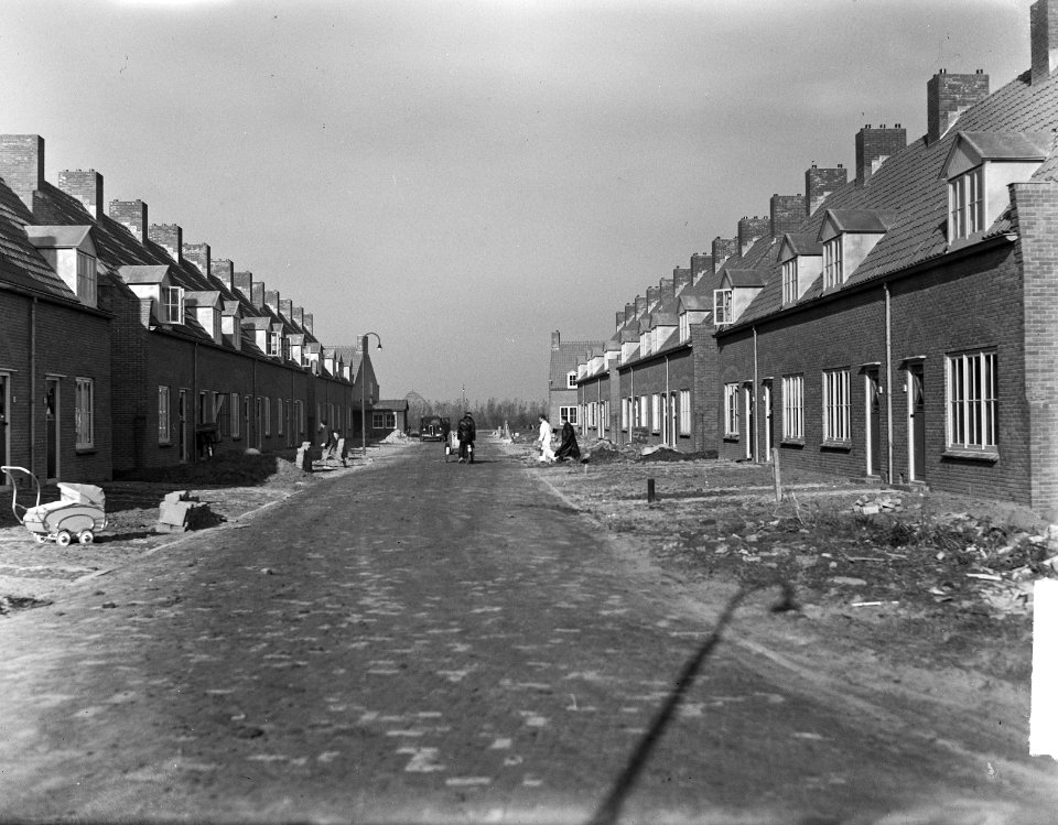 Kraggenburg in Noordoostpolder, jongste Nederlands dorp, Bestanddeelnr 903-6897