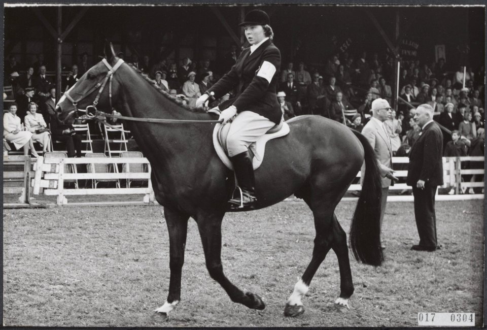 Koninklijk huis, prinsessen, paardensport, ruiters, Beatrix, prinses, Foxtrott, Bestanddeelnr 017-0304