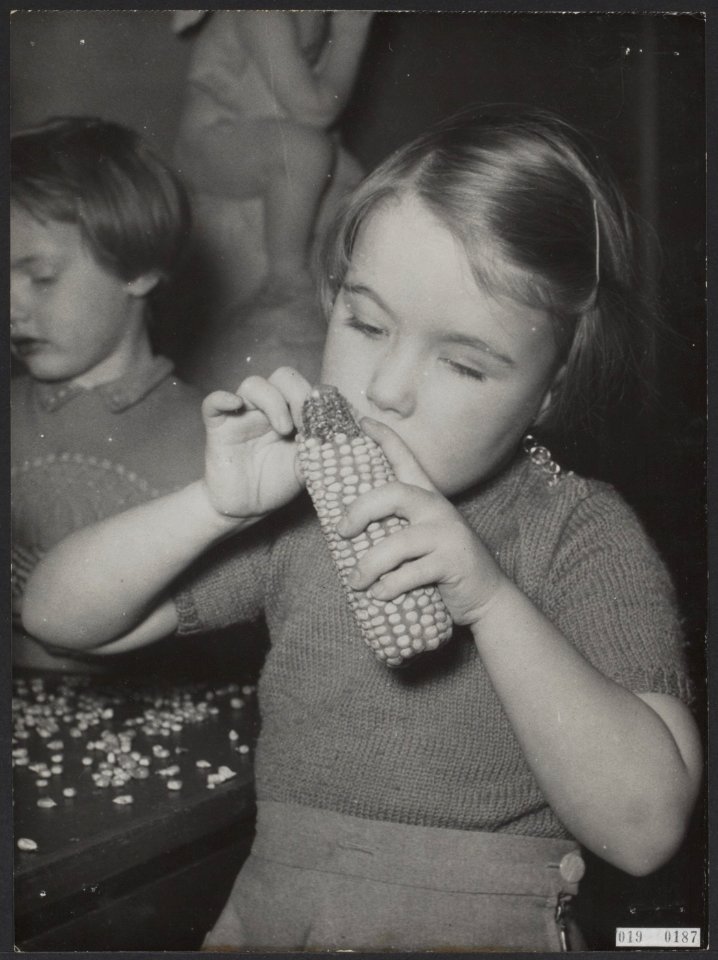Koninklijk huis, prinsessen, mais, Christina, prinses, Utrecht, Bestanddeelnr 019-0187