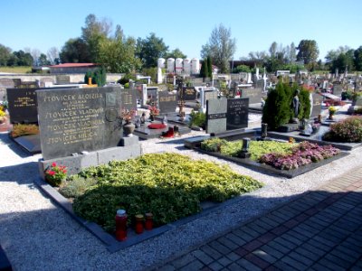 Krško Cemetery 12