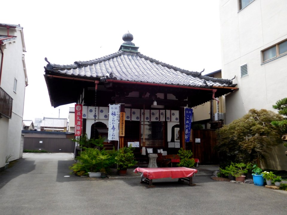 Konuka-Yakushi-003