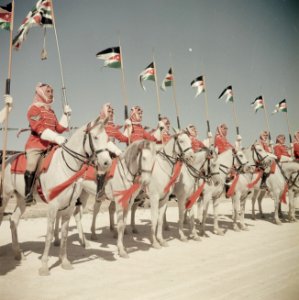 Koninklijke lijfwacht te paard, Bestanddeelnr 255-9752