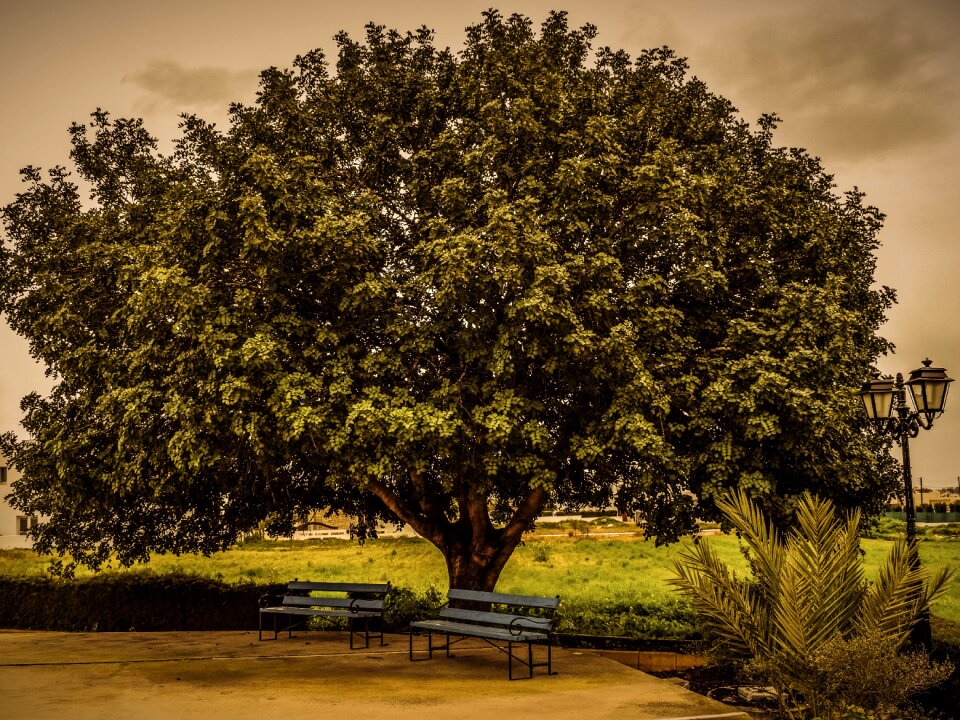 Benches lantern square