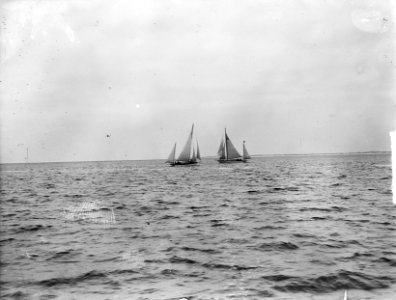Koninklijke Marine Jachtclub Den Helder receptie zeilen op Noordzee, Bestanddeelnr 903-4536