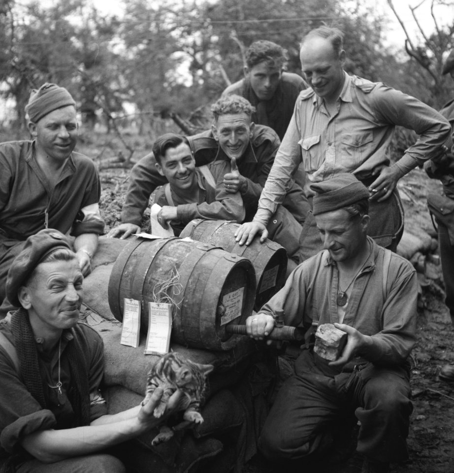 Koninklijke Nederlandse Brigade Prinses Irene. Frans-Canadese sector, Een wijn , Bestanddeelnr 934-9692