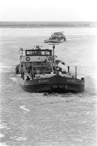 Konvooi schepen met ijsbrekers op IJsselmeer bij Lelystad, Bestanddeelnr 933-8594