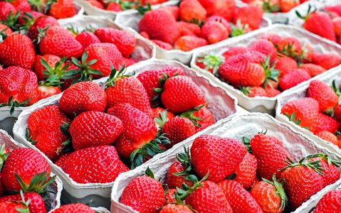 Sweet fruits berries