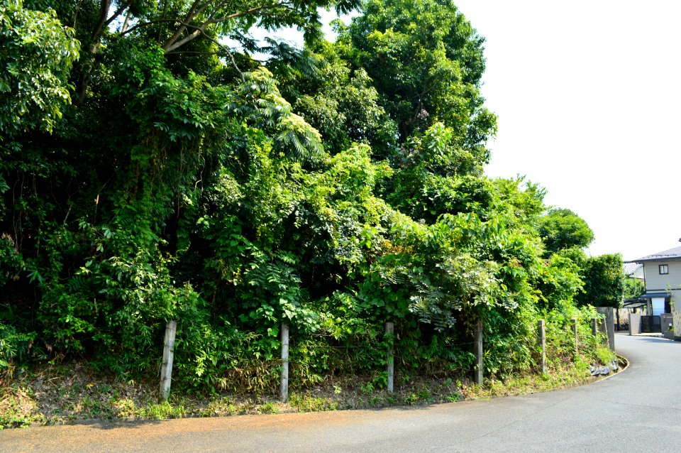 Konooka Kubizuka Kofun, funkyu