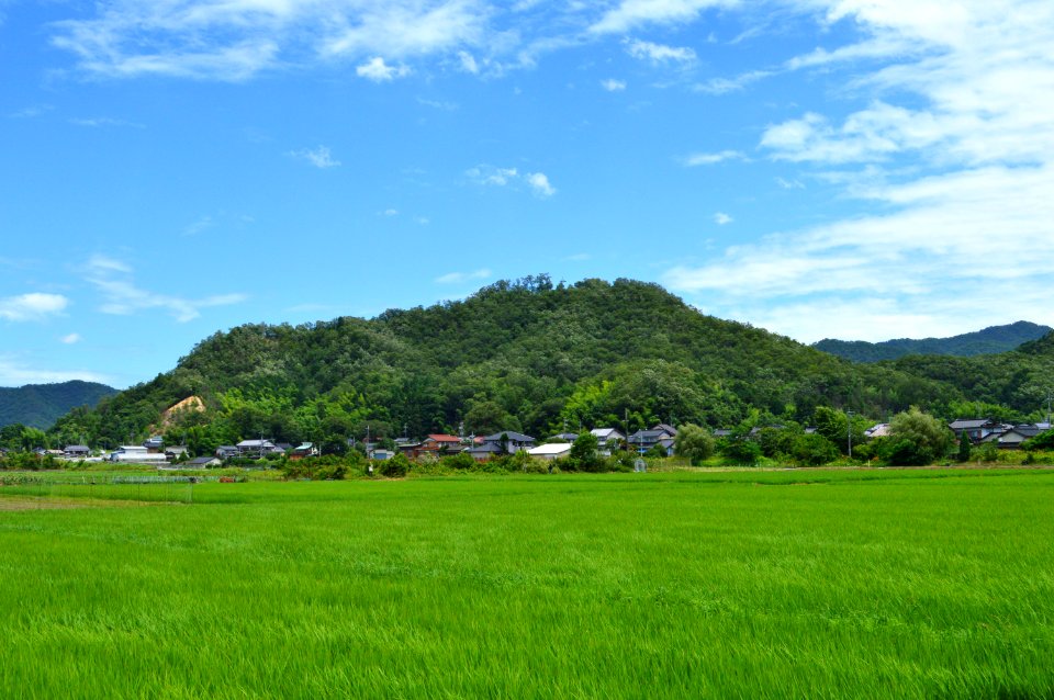 Konosumiyama Castle zenkei