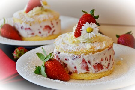 Bisquit dessert cream