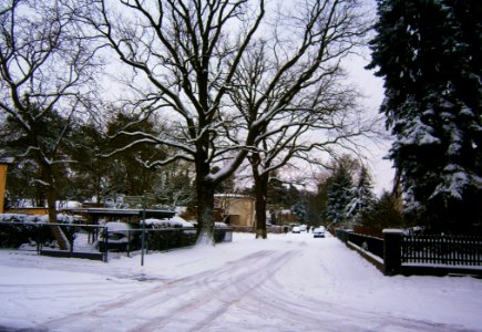 Konradshöhe Trumfalkenstraße Nord 52.584291 13.228953