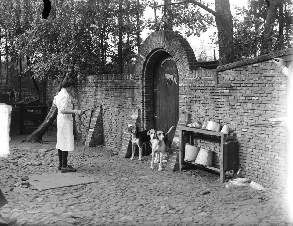 Koninklijke Jacht Vereniging Menke ( Prins Bernhard jagermeester) Oud Leusden, Bestanddeelnr 903-6294