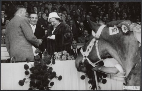 Koninklijk huis, tentoonstellingen, paarden, prijsuitreikingen, Juliana, koningi, Bestanddeelnr 015-0153