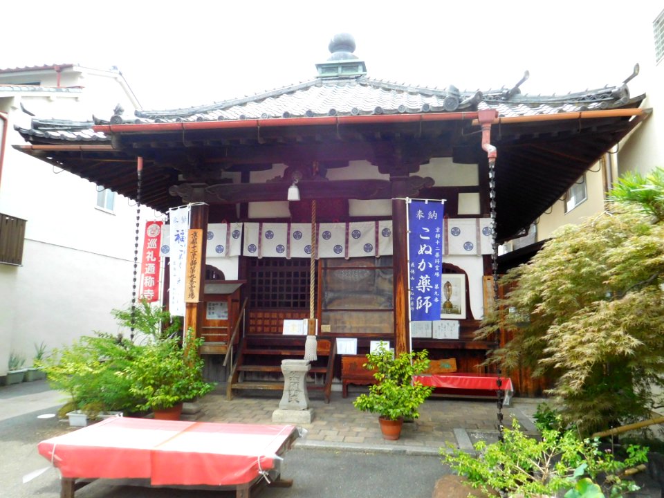 Konuka-Yakushi-004