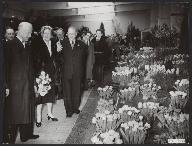 Koninklijk huis, tentoonstellingen, bloemen, burgemeesters, Ailly, Arnold Jan d', Bestanddeelnr 015-0009