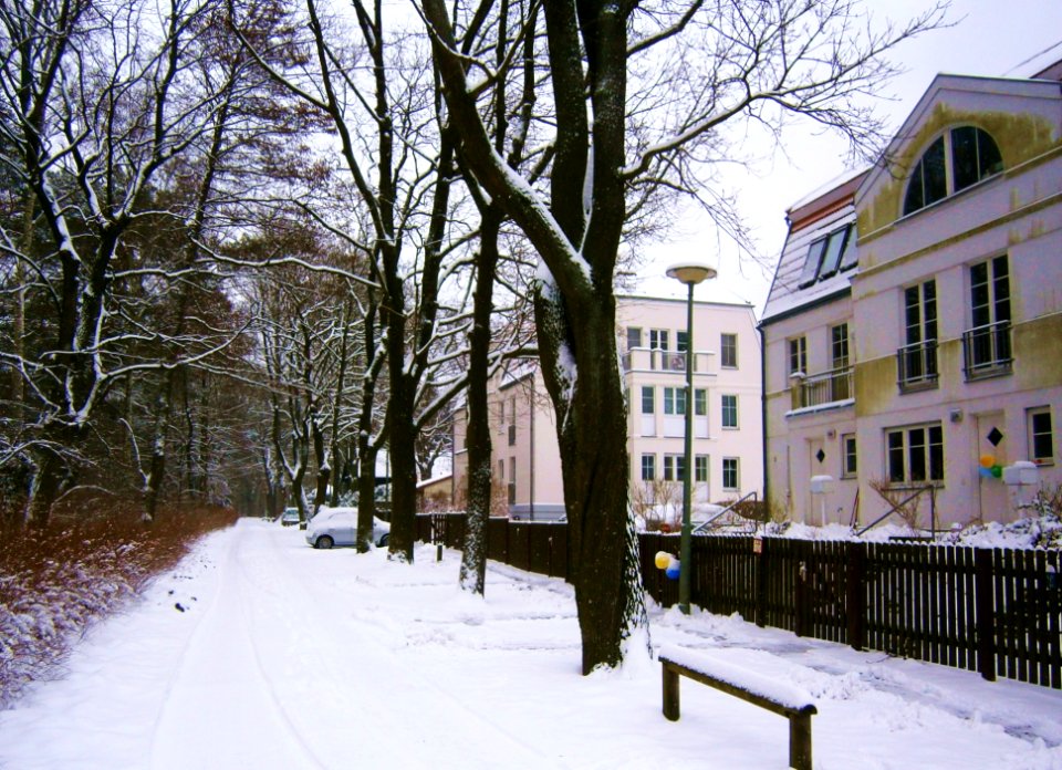 Konradshöhe Buntspecht Ost