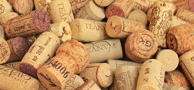 Bottle corks cork collection photo