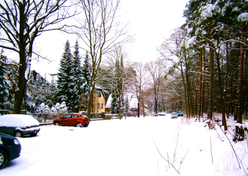Konradshöhe Nußhäher Nord