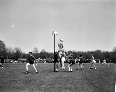 Korfbal Nederland tegen Belgie in Wagner Stadion Amstelveen Aanval Nederland, Bestanddeelnr 915-1952