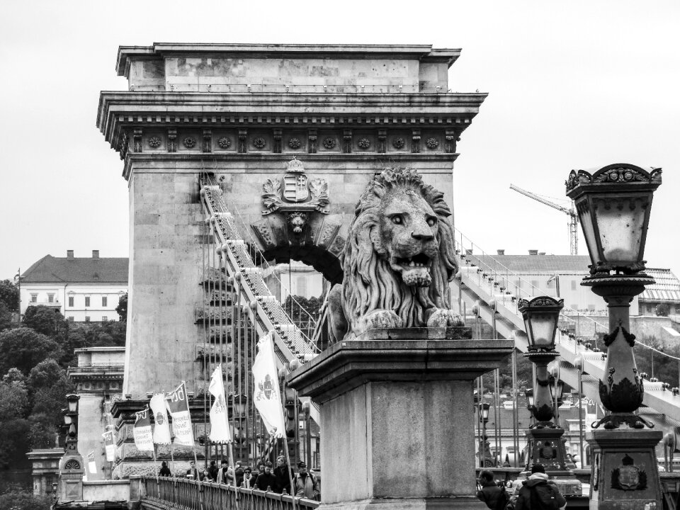 Chain bridge statue danube