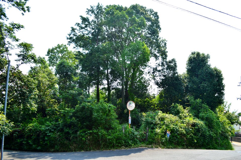 Konooka Shinzuka Kofun, funkyu