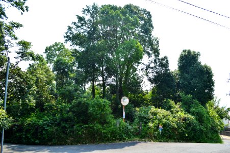 Konooka Shinzuka Kofun, funkyu