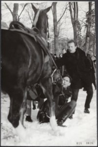 Koninklijk huis, rijtoeren, paarden, politie, Bestanddeelnr 018-0036