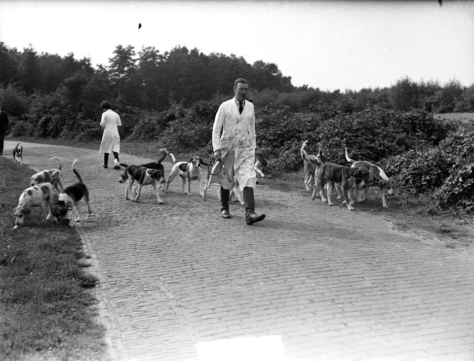 Koninklijke Jacht Vereniging Menke ( Prins Bernhard jagermeester) Oud Leusden, Bestanddeelnr 903-6296
