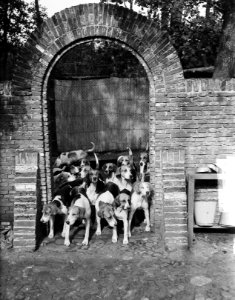 Koninklijke Jacht Vereniging Menke ( Prins Bernhard jagermeester) Oud Leusden, Bestanddeelnr 903-6289