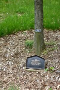 Korean War Veterans - Dawes Arboretum plaque - DSC02887