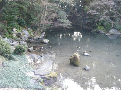 Korakuen Okayama 2009 06
