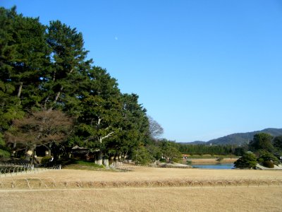 Korakuen Okayama 2009 02