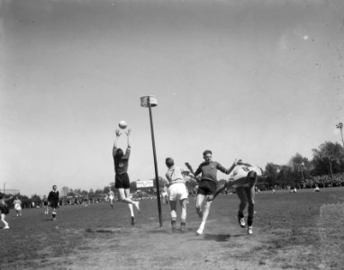 Korfbal Nederland tegen Belgie 8-3, Bestanddeelnr 908-6243